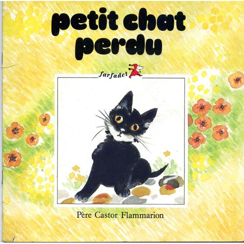 Petit Chat Perdu