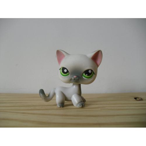 Petshop Chat Européen 125 Pelage Blanc Gris Et Yeux Verts