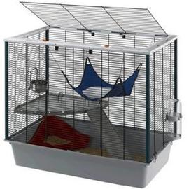 furet rat cage