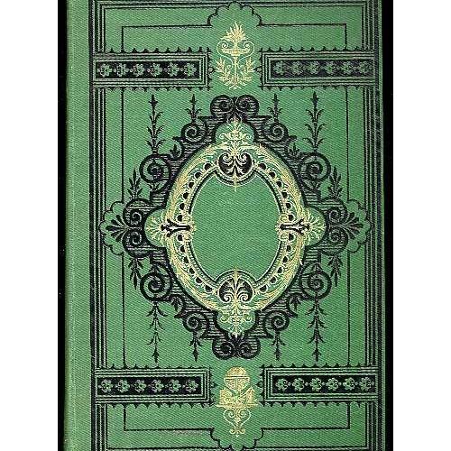 Ancienne Planche Botanique d/'après Gaston Bonnier Grappe de Raisin Vigne
