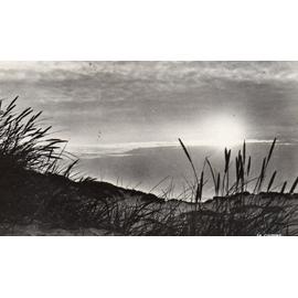 Carte Postale Ancienne Noir Et Blanc Dentelee Paysages Le Touquet Paris Plage Coucher De Soleil Sur Les Dunes Editions La Cigogne