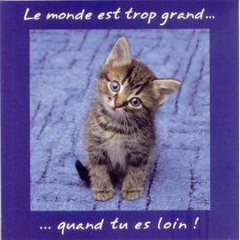 Carte Postale Chaton Avec Message Enveloppe Ivoire Rakuten