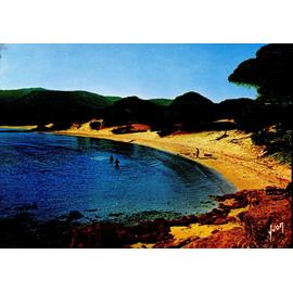 Carte Postale De Palombaglia Corse Plage De Palombaglia