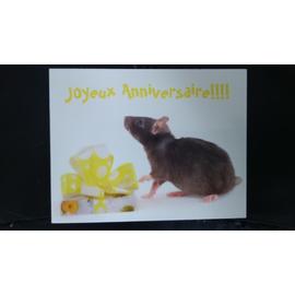 Carte Postale Souris Joyeux Anniversaire Rakuten