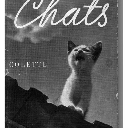 Chats - 