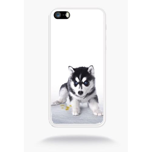 coque iphone 5 husky coque iphone 5 husky