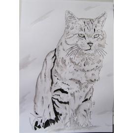 Dessin Chat Tigré Encre De Chine Lavis Fine Art A4 Gros Matou