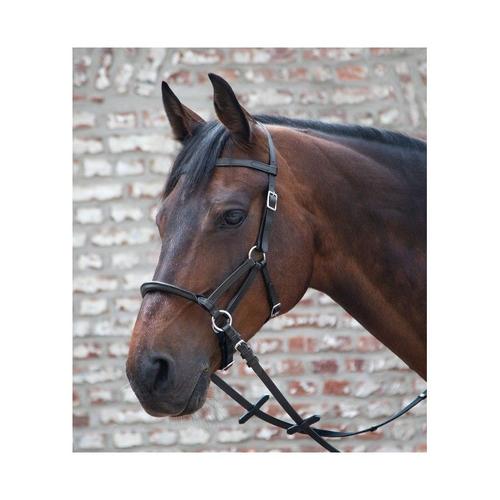 Pfiff Licou pour chevaux-pink-sang total chevaux Licou plastique Licou cheval