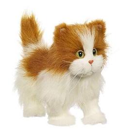 Hasbro Furreal Friends Peluche Fur Real En Avant Mon Petit Chat Blanc Marron En Avant Mon Petit Chat Hasbro Cree Des Peluches Interactives Douces Attachantes Et Ultrarealistes Rakuten