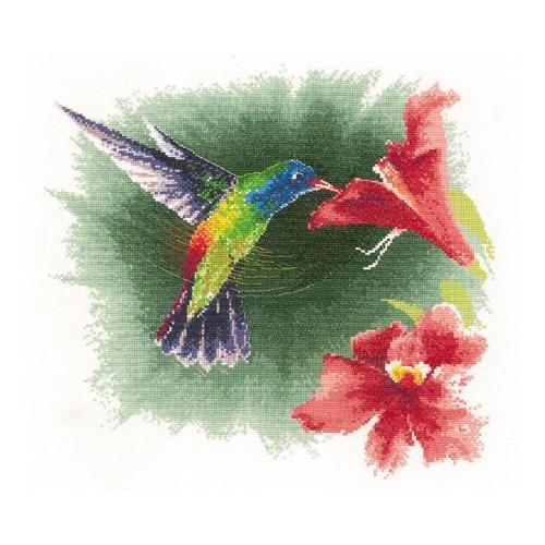 Colibri Watercolor Bird Decor Autocollant De Voiture Vinyle 12 X 12 cm