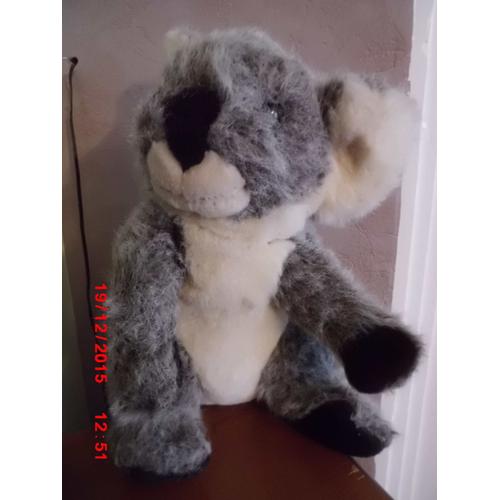 nounours koala