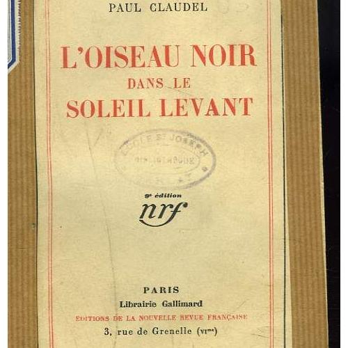 Loiseau Noir Dans Le Soleil Levant