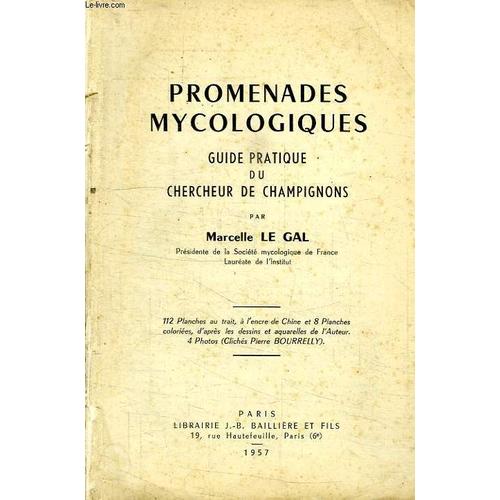 Guide pratique des champignons