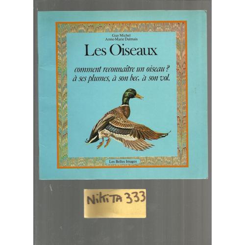 Les Oiseaux Comment Reconnaitre Un Oiseau à Ses Plumes à Son Bec à Son Vol