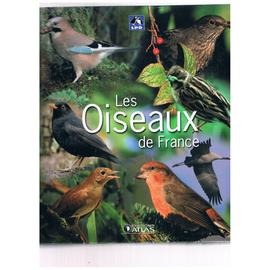 Apprendre à Reconnaitre Les Oiseaux Les Astuces Pour