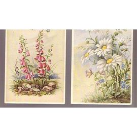 Lot 2 Cpa Anciennes Aquarelles Bouquets Sauvages Fleurs Des Champs Marguerites Campanules Années 3040imprimées En Belgique Dos Vierges