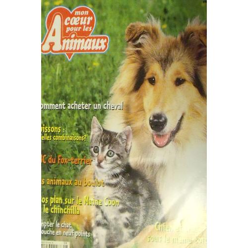 Https Fr Shopping Rakuten Com Offer Buy 6907050 Collectif Album Ar Men Hors Serie N 3 Revue Html Https Images Fr Shopping Rakuten Com Photo Collectif Album Ar Men Hors Serie N 3 Revue 832990378 L Jpg 2019 02 17 Https Fr Shopping Rakuten Https Fr Shopping Rakuten Com Offer Buy 6907050 Collectif Album Ar Men Hors Serie N 3 Revue Html Https Images Fr Shopping Rakuten Com Photo Collectif Album Ar Men Hors Serie N 3 Revue 832990378 L Jpg 2019 02 17 Https Fr Shopping Rakuten