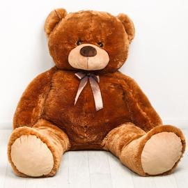 ours en peluche teddy bear