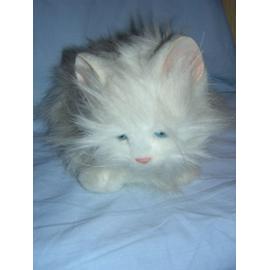 chat en peluche interactif