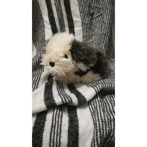 Peluche Chien Gris Blanc Poils Longs Aux Nations Vintage