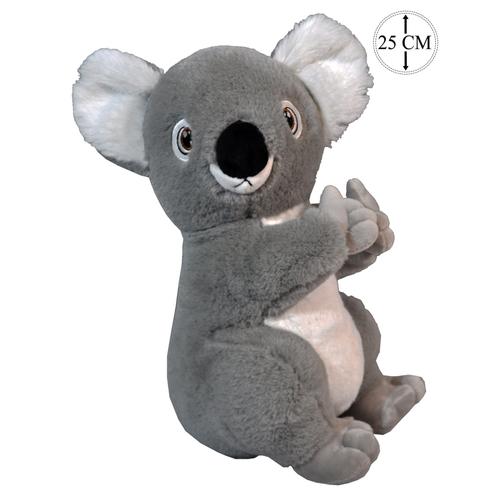 doudou koala