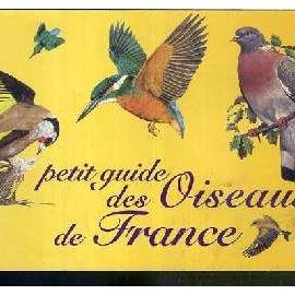 Petit Guide Des Oiseaux De France