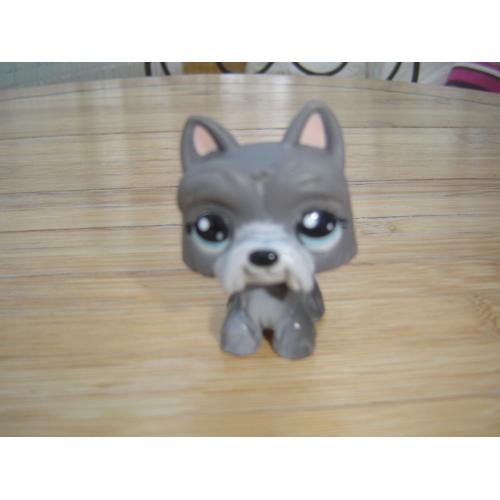 Petshop Chien Westie Gris Foncé Aux Yeux Bleus