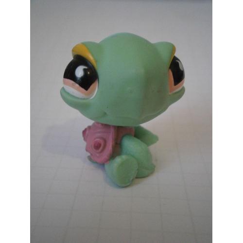 TORTUE verte carapace rose BEG Rakuten