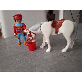 playmobil cheval fille