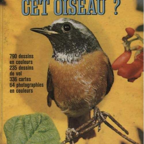 Quel Est Donc Cet Oiseau - 