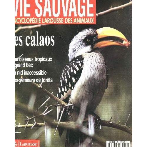 Vie Sauvage N52 Les Calaos Des Oiseaux Tropicaux A Grand Bec Un Nid Innaccessible Des Semeurs De Forets Ec